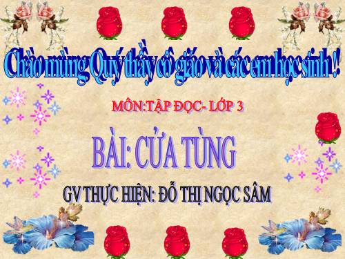 Tuần 13. Cửa Tùng