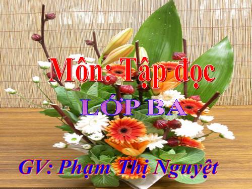 Tuần 6. Nhớ lại buổi đầu đi học