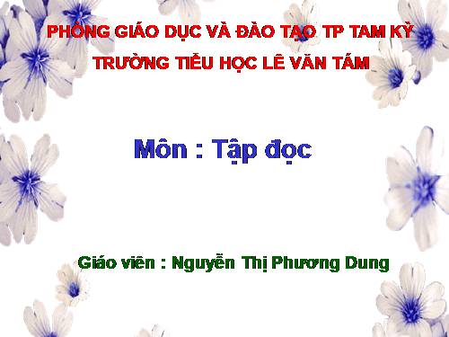 Tuần 17. Anh Đom Đóm