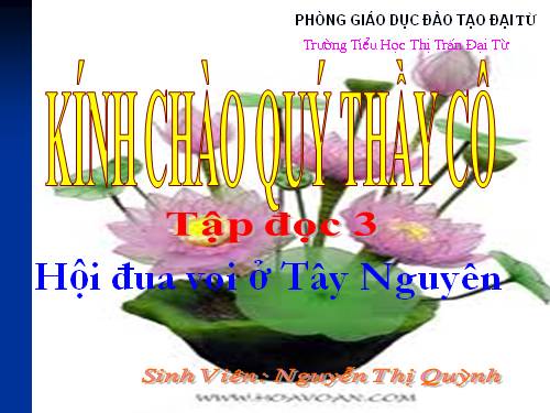 Tuần 25. Hội đua voi ở Tây Nguyên