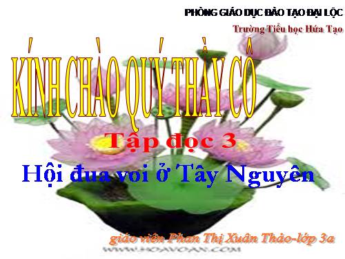 Tuần 25. Hội đua voi ở Tây Nguyên