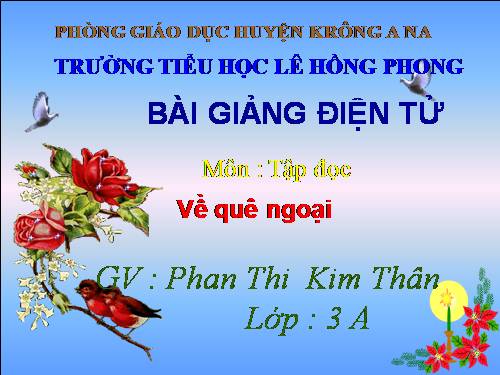 Tuần 16. Về quê ngoại