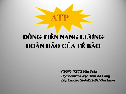 atp-đồng tiền năng lượng