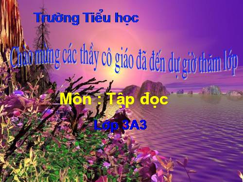 Tuần 25. Hội đua voi ở Tây Nguyên