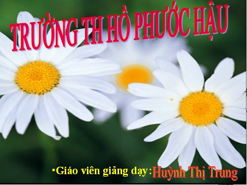 Tuần 30. Một mái nhà chung