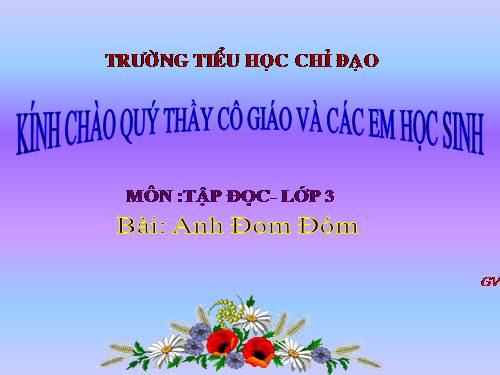 Tuần 17. Anh Đom Đóm