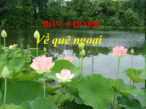 Tuần 16. Về quê ngoại