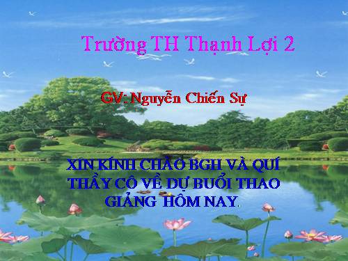 Tuần 25. Hội vật