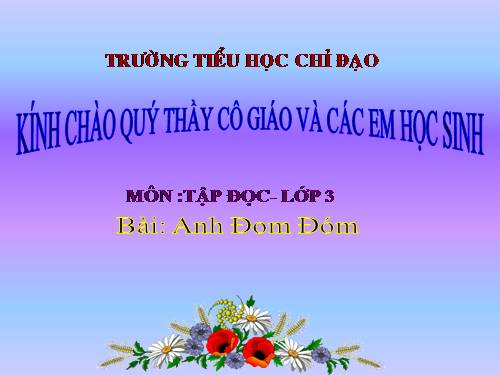 Tuần 17. Anh Đom Đóm