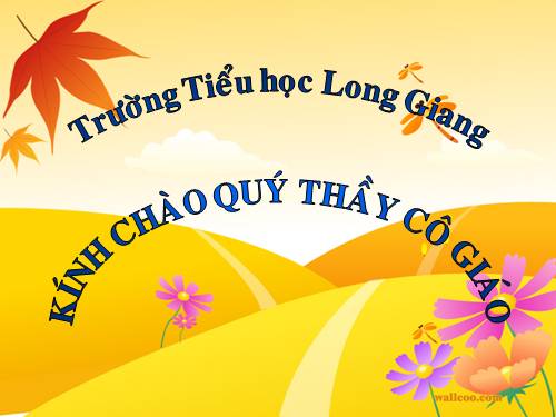 Tuần 4. Ông ngoại