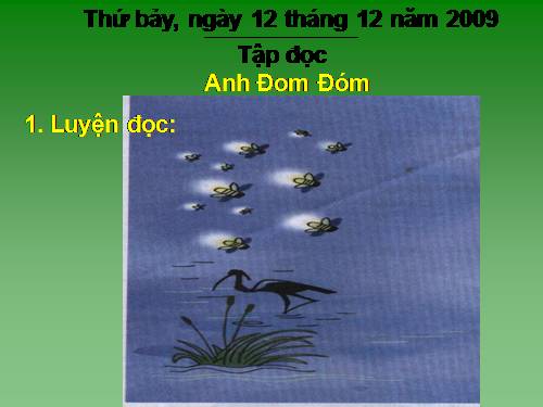 Tuần 17. Anh Đom Đóm