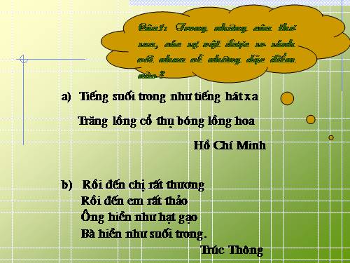 Dân tộc Tây Nguyên