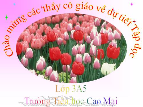 Tuần 8. Tiếng ru