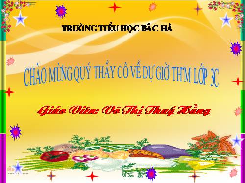 Tuần 13. Cửa Tùng