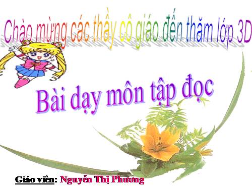 Tuần 25. Hội đua voi ở Tây Nguyên