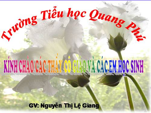 Tuần 8. Tiếng ru