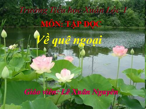 Tuần 16. Về quê ngoại