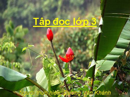 Tuần 14. Nhớ Việt Bắc