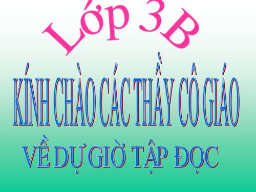 Tuần 14. Nhớ Việt Bắc