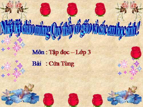 Tuần 13. Cửa Tùng