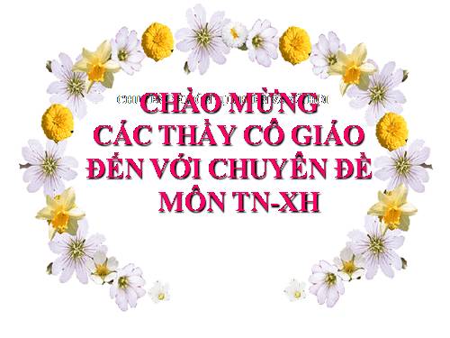 chuyen de mon TNXH