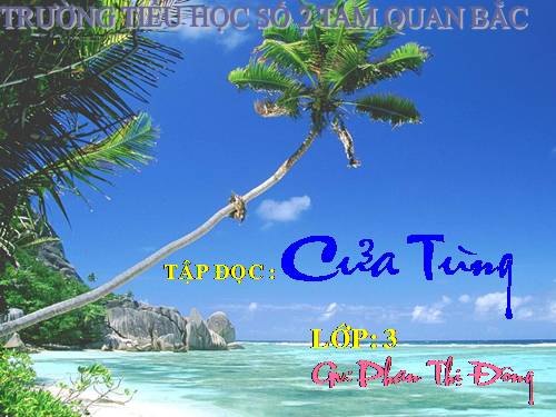 Tuần 13. Cửa Tùng