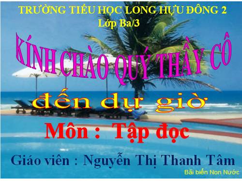 Tuần 13. Cửa Tùng