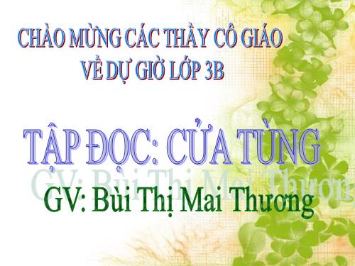 Tuần 13. Cửa Tùng