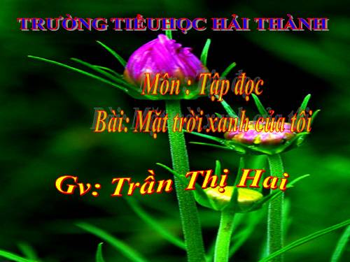 Tuần 33. Mặt trời xanh của tôi