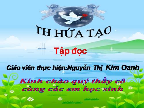 Tuần 13. Cửa Tùng