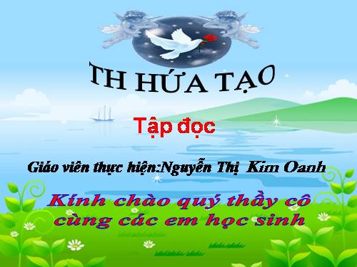 Tuần 13. Cửa Tùng