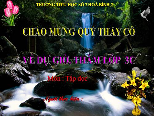 Tuần 3. Quạt cho bà ngủ