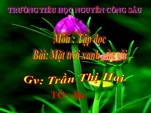 Tuần 33. Mặt trời xanh của tôi