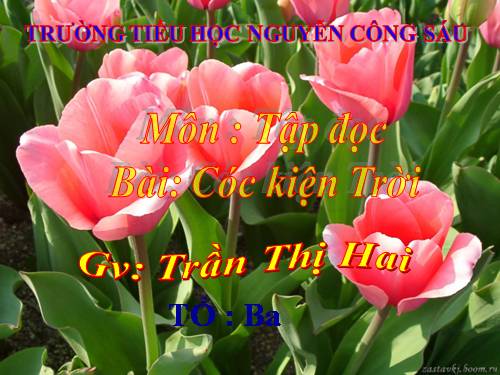 Tuần 33. Cóc kiện Trời