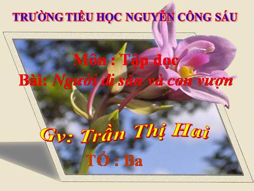 Tuần 32. Người đi săn và con vượn