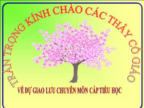 Tuần 22. Cái cầu