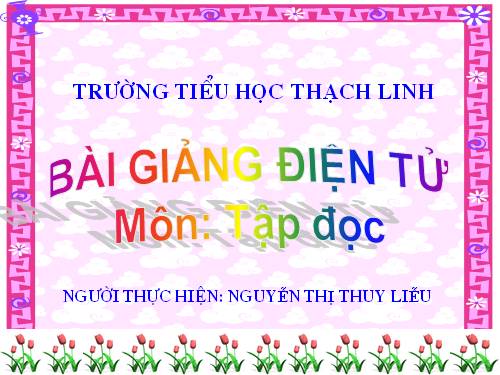 Tuần 13. Cửa Tùng