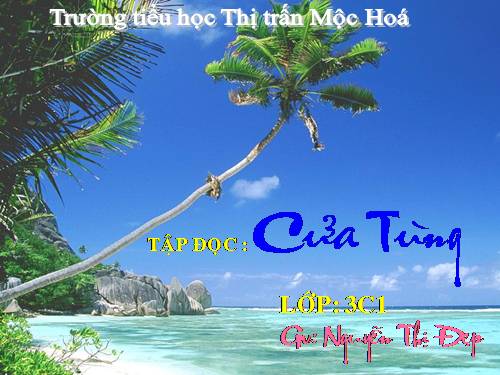 Tuần 13. Cửa Tùng