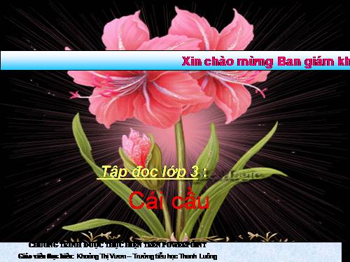 Tuần 22. Cái cầu