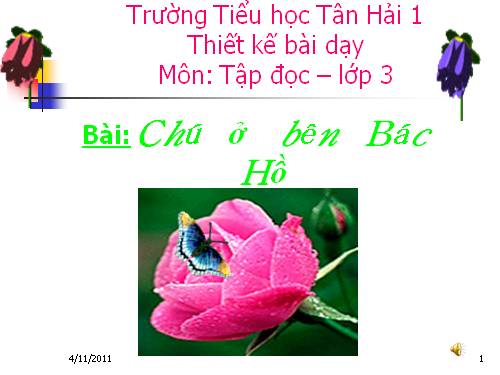 Tuần 20. Chú ở bên Bác Hồ