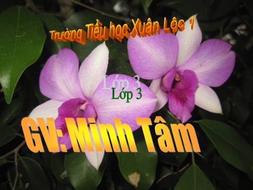 Tuần 32. Cuốn sổ tay