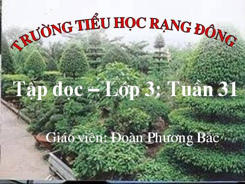 Tuần 31. Bài hát trồng cây