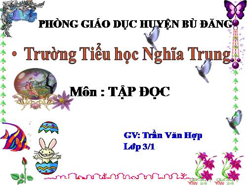 Tuần 24. Tiếng đàn