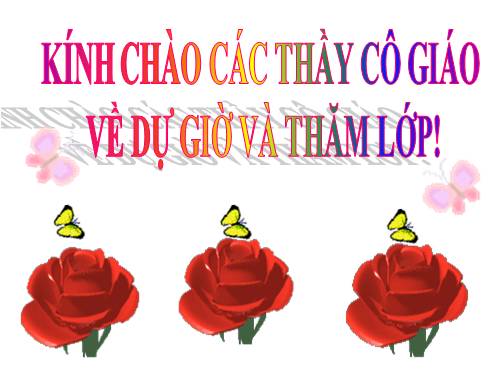 Tuần 21. Bàn tay cô giáo