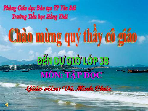 Tuần 13. Cửa Tùng