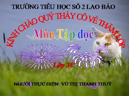 Tuần 25. Hội đua voi ở Tây Nguyên