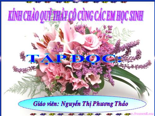 Tuần 20. Chú ở bên Bác Hồ