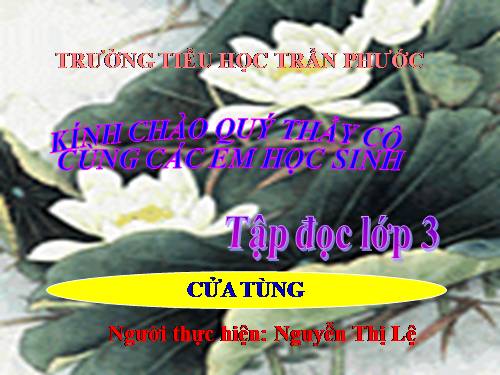 Tuần 13. Cửa Tùng