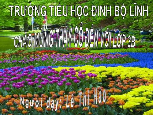 Tuần 22. Cái cầu