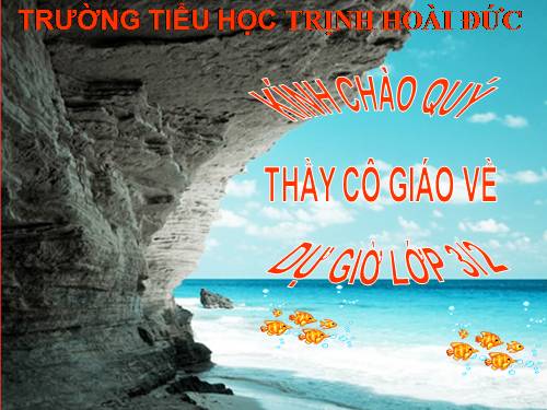 Tuần 21. Bàn tay cô giáo